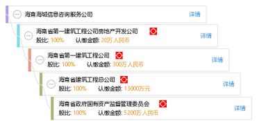 海南海城信息咨詢服務(wù)公司 專業(yè)、精準(zhǔn)、高效的信息咨詢解決方案